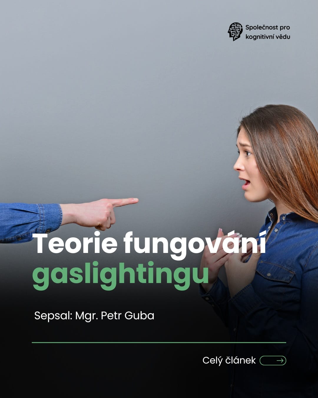 Teorie fungování gaslightingu