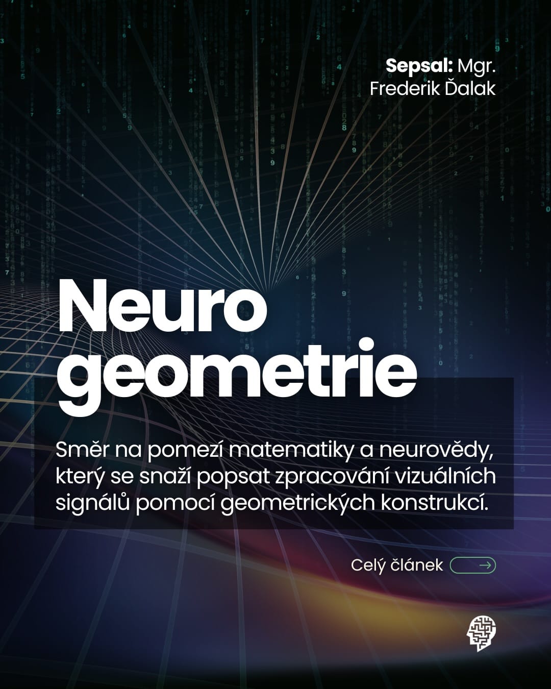 Neurogeometrie