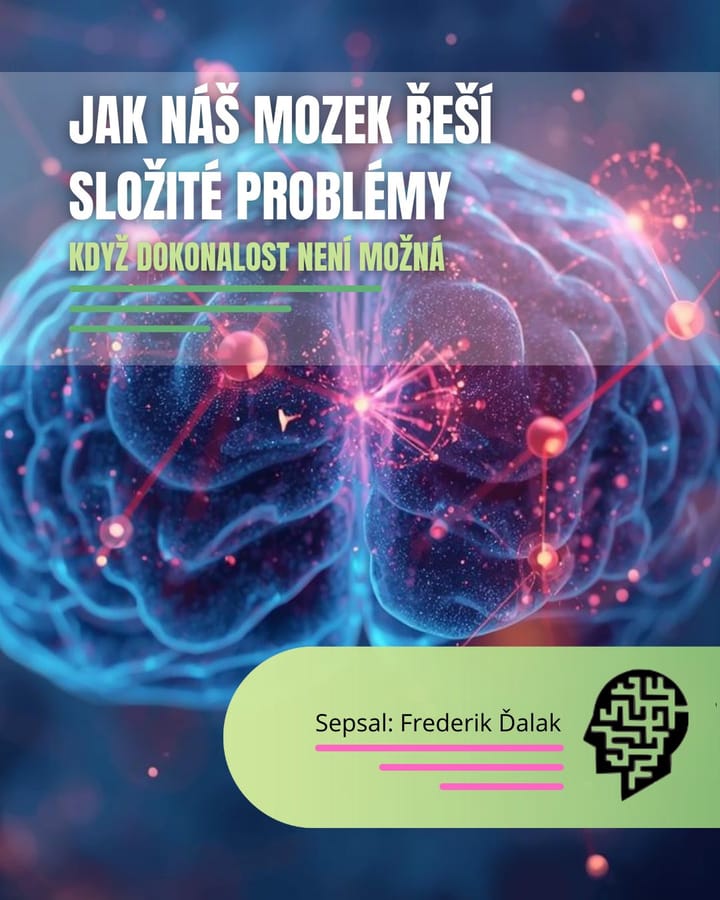Jak náš mozek řeší složité problémy